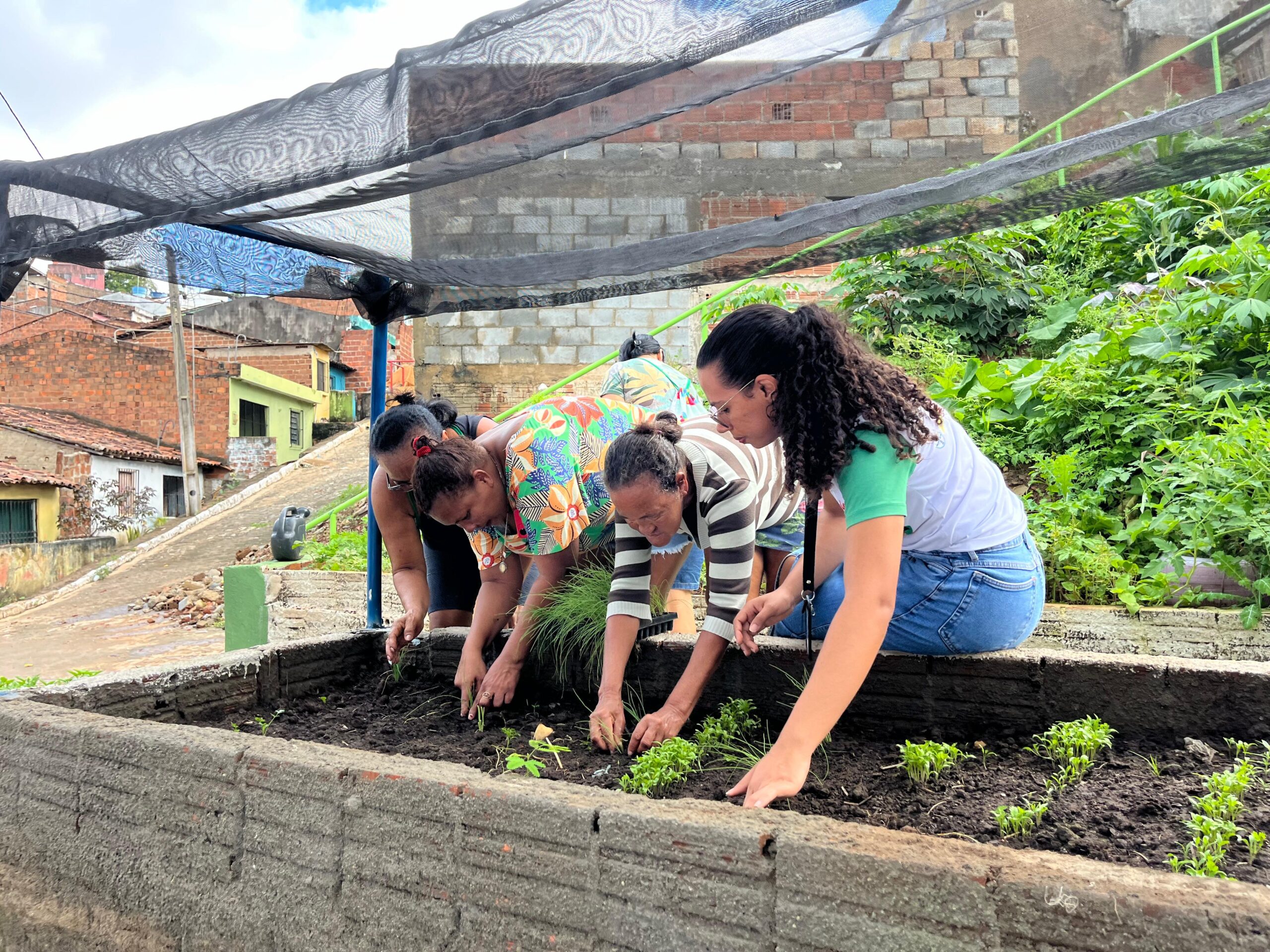 CEDILI realiza reunião comunitária e mutirão